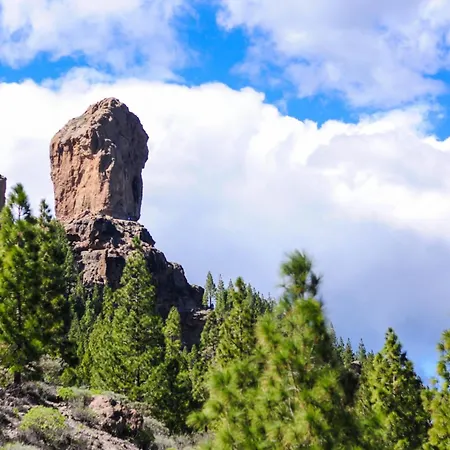Industrial Teror 206 * Playa del Inglés