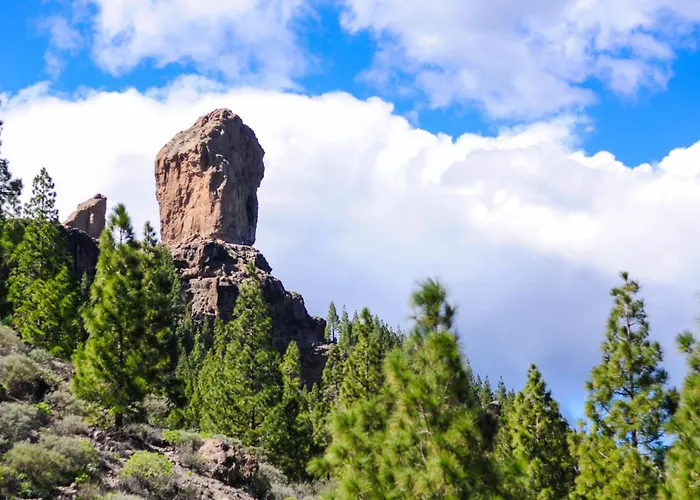 Industrial Teror 206 * Playa del Inglés