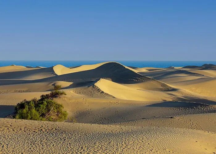 Industrial Teror 206 Playa del Inglés